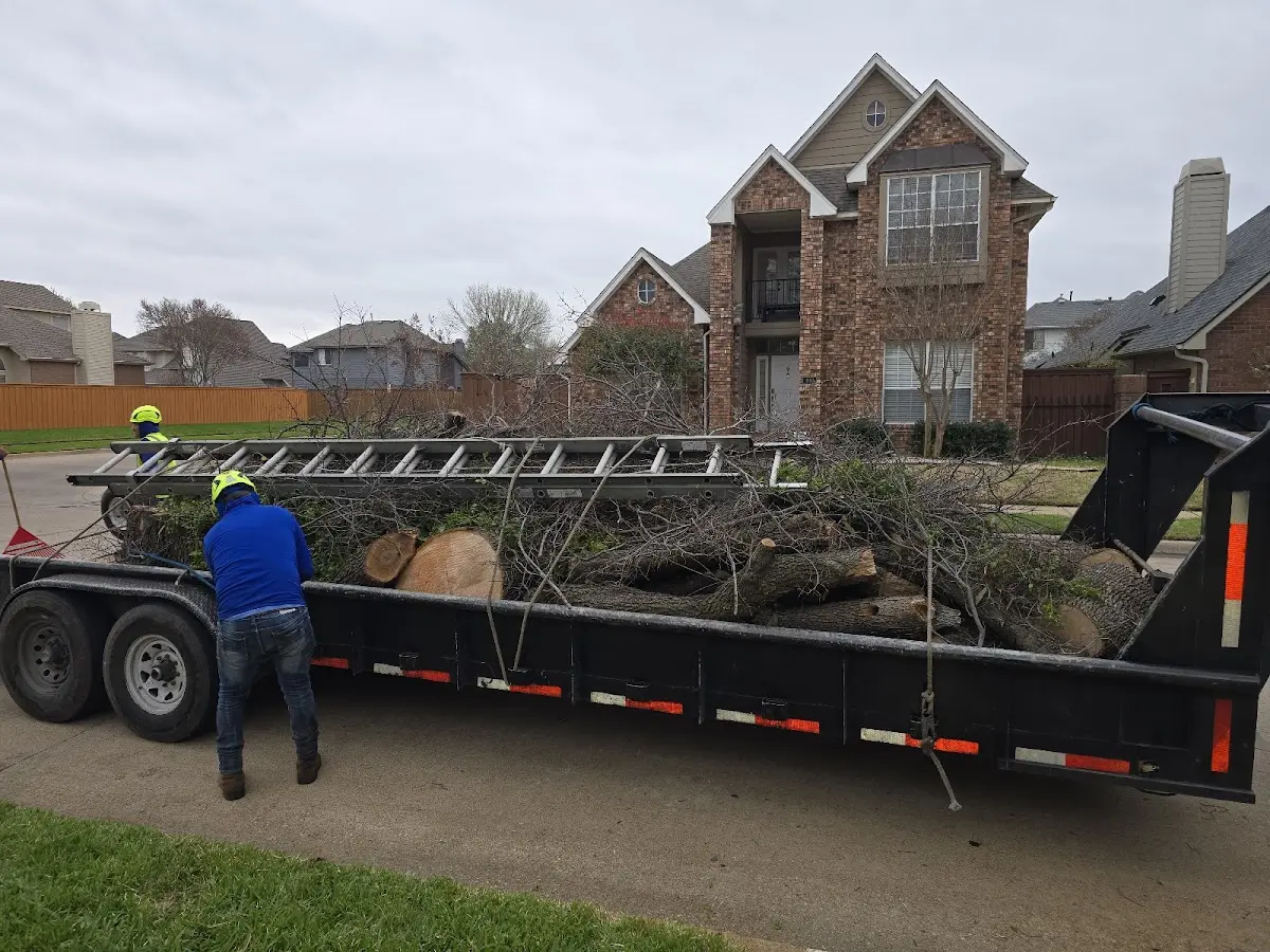 Expert Crown Reduction with proper safety equipment in Wauconda